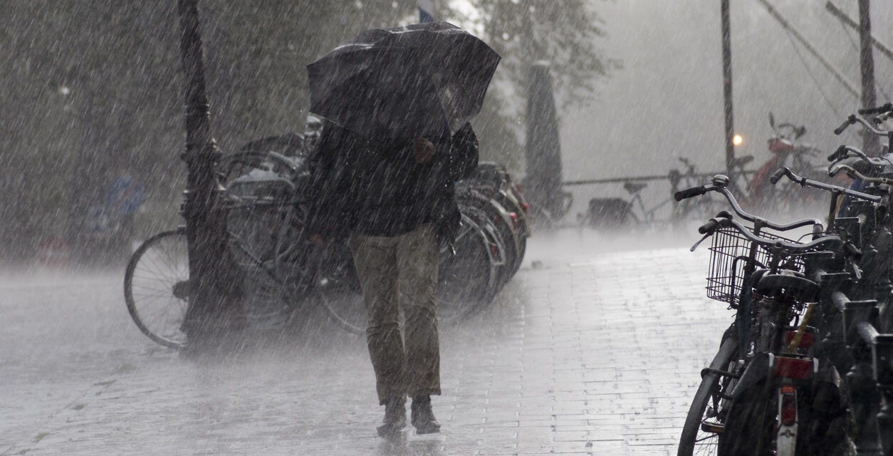 Fun things to do on a rainy day in Rotterdam