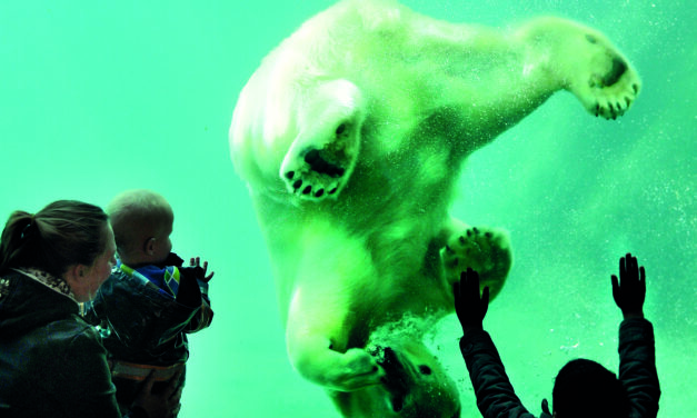 As melhores actividades em Roterdão