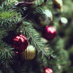 Day tips Rotterdam: Sunday 14 December 2025