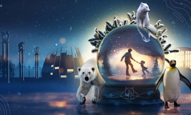 Winters at Blijdorp Zoo 2025