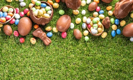 Leuke dingen om te doen in Rotterdam met Pasen 2026